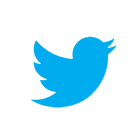 Twitter Icon
